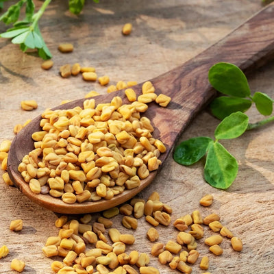 Fenugreek