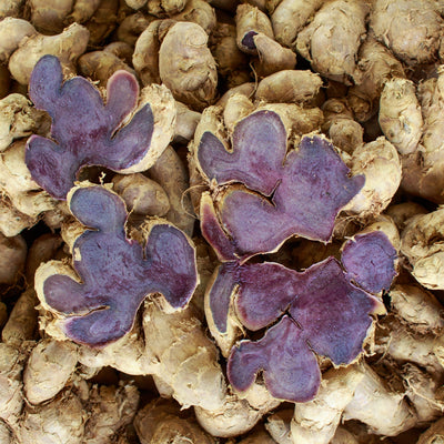 Thai Black Ginger