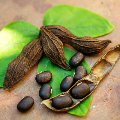 Mucuna Pruriens